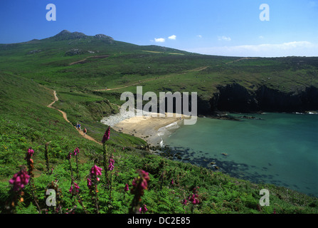 Porthmelgan oder Porth Melgan Strand unterhalb Carn Llidi Mountain Str. Davids Kopf in der Nähe von St. David's Pembrokeshire West Wales UK Stockfoto