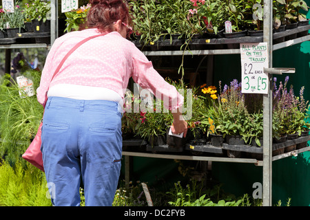 Frau Wahl Pflanzen Blumen vom Marktstand, Cambridge, England Stockfoto