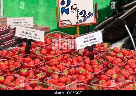 Lokalen angebaute Erdbeeren zum Verkauf auf Markt Abwürgen, Cambridge, England Stockfoto