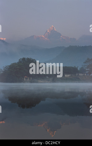 Sonnenaufgang am Machapuchare von See Pokhara Stockfoto