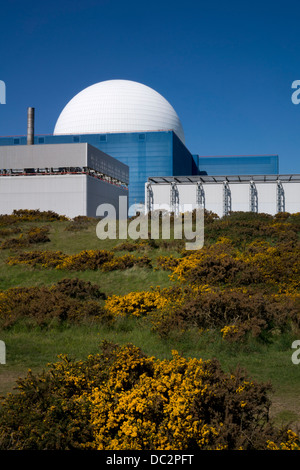 Sizewell Nuclear Power Station, Suffolk, East Anglia, England Stockfoto