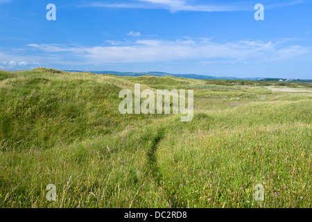 Dünensystem im Naturreservat Qualitätsorientierung, South Wales Stockfoto