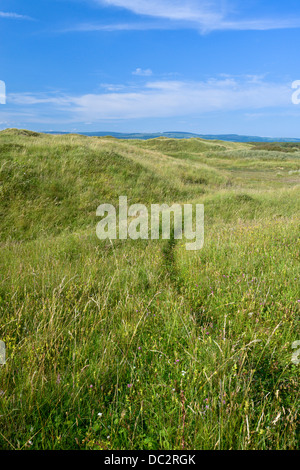 Dünensystem im Naturreservat Qualitätsorientierung, South Wales Stockfoto