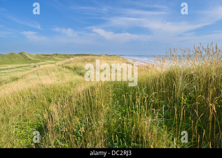 Dünensystem im Naturreservat Qualitätsorientierung, South Wales Stockfoto