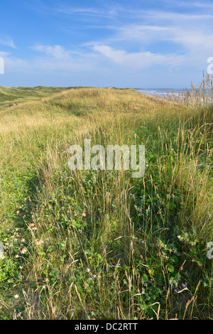 Dünensystem im Naturreservat Qualitätsorientierung, South Wales Stockfoto