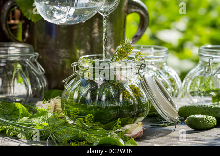 Erhaltung der frische Gurken in einem Glas auf dem Lande Stockfoto