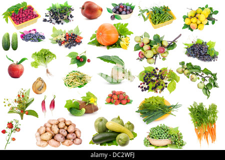 Real Simple Obst und Gemüse aus dem Norden Europas großes set Collage. Isoliert Stockfoto