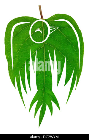 Tot grüner Vogel Collage Konzept aus Blatt gemacht. Isoliert Stockfoto