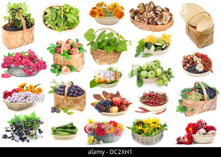 Obst, Gemüse, Blumen und Pilze in Weidenkörbe setzen Collage. Isoliert Stockfoto