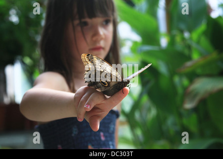 Ein junges Mädchen mit einem riesigen tropischen Schmetterling (Morpho Peleides) hocken auf ihrem Finger. Schmetterlingshaus, Leipzig, Deutschland. Stockfoto