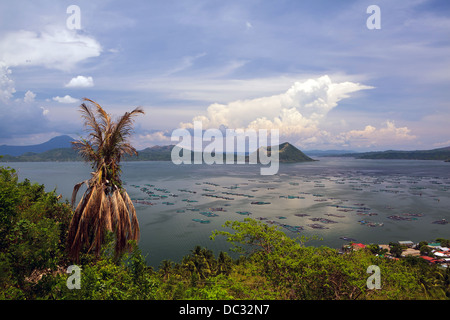 Taal Vulkan, Tagaytay, Insel Luzon, Philippinen. Stockfoto