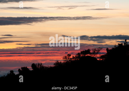 Sonnenaufgänge in der afrikanischen Savanne, an den Hängen des Kilimanjaro genommen Stockfoto
