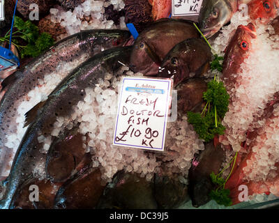 Cardiff, Wales, UK. 8. August 2013. Frisch "Doktorfisch" auf Eis für Verkauf Ashtons Fischhändler in Cardiff Markt. KATHY DEWITT/ALAMY LIVE-NACHRICHTEN Stockfoto