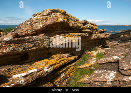 Flechten Sie bedeckte Felsen in der Nähe von Dorf Mey, Caithness, Schottland, UK.  Pentland Firth im Hintergrund. Stockfoto