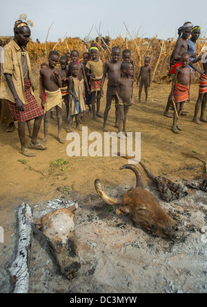 Dassanech Stamm Menschen kochen eine Kuh, Omorate, Omo-Tal, Äthiopien Stockfoto