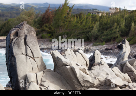 Des Drachen Zähne Detail in Kapalua, Maui, Hawaii. Stockfoto