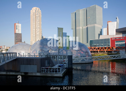 Schwebende Pavillon nachhaltige Architektur Rotterdam Niederlande - der neue De Rotterdam Gebäude im Hintergrund Stockfoto