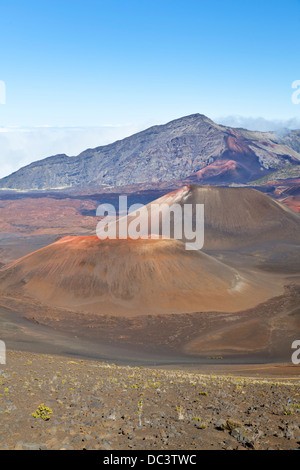 Schlackenkegel im Inneren der großen Haleakala Krater auf Maui, Hawaii. Stockfoto