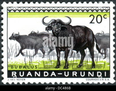 Ruanda - URUNDI - ca. 1959: Briefmarke gedruckt in Ruanda - Urundi, zeigt afrikanischer Büffel, ca. 1959 Stockfoto