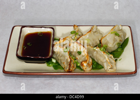 Authentische japanische Küche mit einem zeitgenössischen amerikanischen Flair fotografiert. Japanische Teigtaschen mit Soja-Sauce. Stockfoto