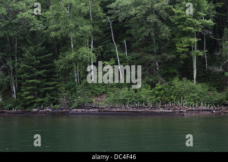 Ein verlassenes Schiff am Ufer des Lake Superior in der Nähe von Bayfield, Wisconsin. Stockfoto