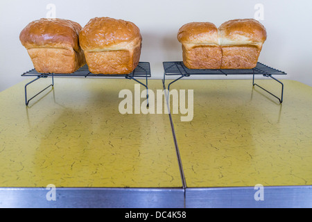 Frisch gebackenes Brot kühlt beim Abkühlen Racks im Irish Loop Coffee House in Witless Bay, Neufundland. Stockfoto