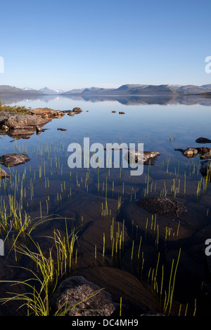 Blick über See Kilpisjärvi Stockfoto