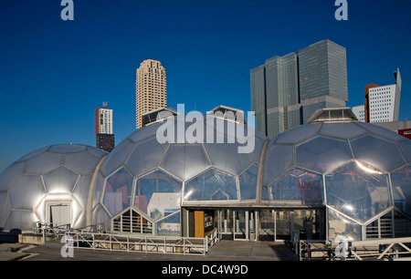 Schwebende Pavillon nachhaltige Architektur Rotterdam Niederlande Stockfoto