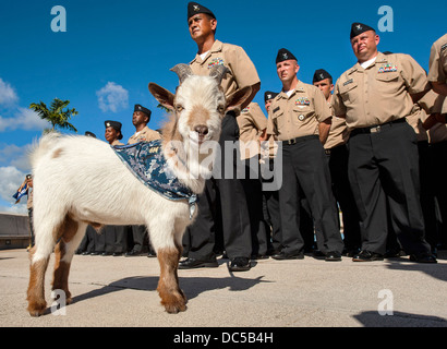 US Navy Chief Petty Officer wählt Stand bei Bildung von Pearl Harbor Memorial Fountain zusammen mit ihrem Maskottchen Charlie die Ziege 6. August 2013 in Pearl Harbor, Hawaii. Stockfoto