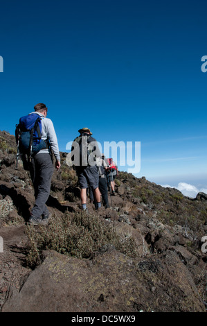 Gruppe auf der Rongai Route zum Kilimanjaro trekking Stockfoto