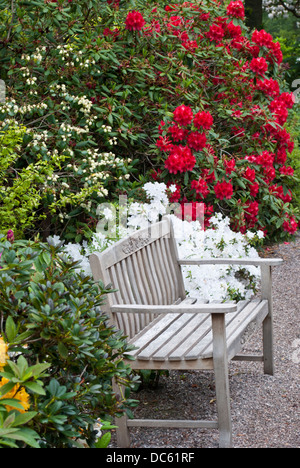 Eine alte Holzbank Stockfoto