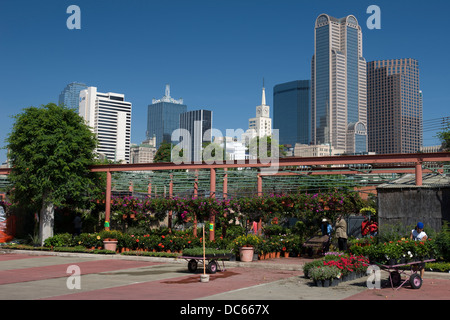 FARMERS MARKET DOWNTOWN DALLAS TEXAS USA Stockfoto