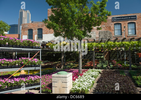 BLUMEN-SCHALEN-FARMERS MARKET DOWNTOWN DALLAS TEXAS USA Stockfoto