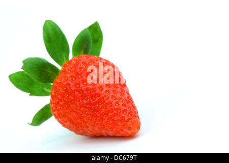 Stockfoto