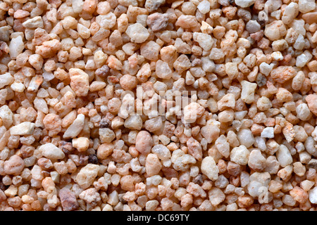 Hintergründe und Texturen: grobe Sandoberfläche, close-up erschossen Stockfoto