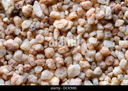 Hintergründe und Texturen: grobe Sandoberfläche, close-up erschossen Stockfoto
