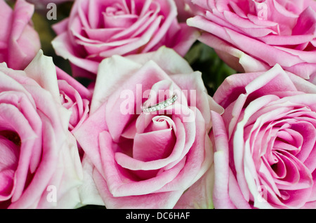 Schöne voll Rosen in den Farben rosa, mit einem Diamant gold-Hochzeit oder Verlobungsring. Stockfoto
