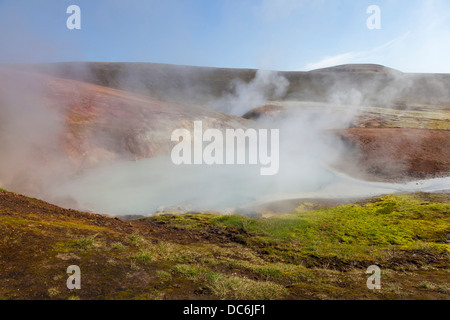 Dampf-Öffnungen und heißen Quellen auf dem Laugavegur-Wanderweg von Landmannalaugar nach Thorsmork Fjallabak Island Stockfoto