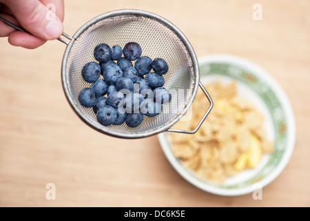 Blaubeeren in einem Sieb über einer Schüssel Frühstücksflocken Stockfoto