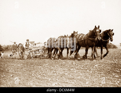 Landwirtschaft - pflügen Team viktorianischen Zeit Stockfoto