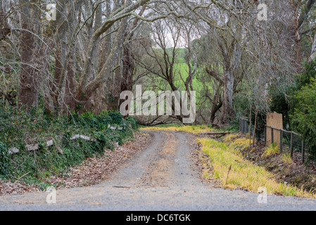 Ein Feldweg windet sich durch die Bäume und die Eigenschaften im Winter. Stockfoto