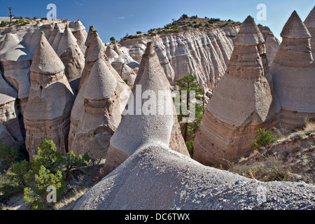 Ein Zelt Rock Formation Kegel von weichen Bimsstein unter schwerer Deckgestein im Kasha-Katuwe Zelt Rocks National Monument 8. Februar 2010 in der Nähe von Cochiti, New Mexico. Das Gebiet verdankt seine bemerkenswerte Geologie Schichten aus vulkanischem Gestein und Asche abgelagerten pyroklastischer Strom aus einer vulkanischen Explosion innerhalb der Jemez Vulkanfeldes, die 6 bis 7 Millionen Jahren aufgetreten sind. Im Laufe der Zeit schuf Verwitterung und Abtragung dieser Schichten Schluchten und Zelt Felsen. Stockfoto