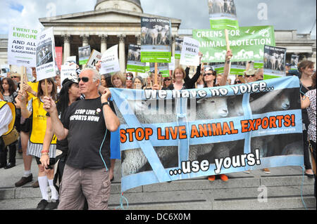 Trafalgar Square, London, UK. 10. August 2013. Demonstranten gegen tierische Lebendtierexporte stehen auf den Stufen vor der National Gallery. Bildnachweis: Matthew Chattle/Alamy Live-Nachrichten Stockfoto