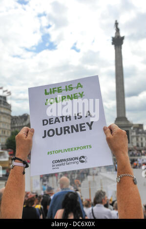 Trafalgar Square, London, UK. 10. August 2013. Demonstranten gegen tierische Lebendtierexporte stehen auf den Stufen vor der National Gallery. Bildnachweis: Matthew Chattle/Alamy Live-Nachrichten Stockfoto