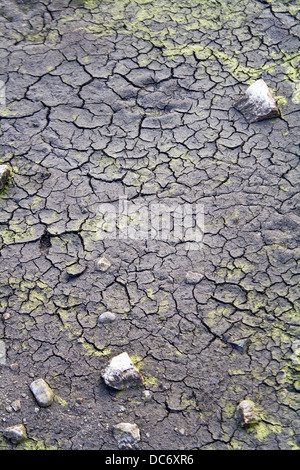 Trockene rissige Erde Hintergrund mit Steinen Stockfoto