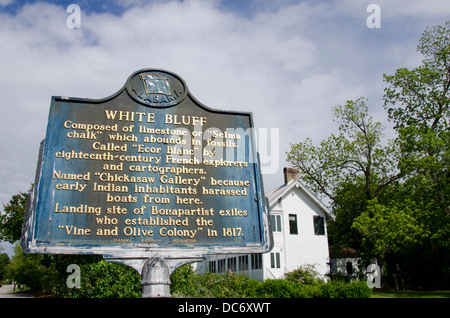 Marengo County, Alabama Demopolis. Hall, historischen antebellum Haus & Museum, c. 1832 zu bluffen. Stockfoto