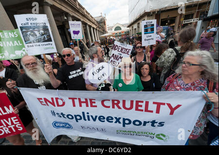 London, UK, 10. August 2013. Mitgefühl in World Farming Unterstützer Protest in Covent Garden im Zentrum von London behauptet live Ausfuhren aus dem Vereinigten Königreich ist grausam. Zehntausende Tiere ertragen angeblich lange Fahrten auf der Straße und Se in ganz Europa jedes Jahr in überbelegten Credit: Lee Thomas/Alamy Live News Stockfoto