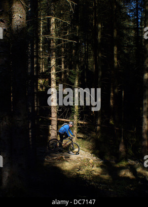 Mountainbiker im dunklen Wald Stockfoto