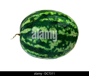 Große Wassermelone isoliert auf weiss Stockfoto