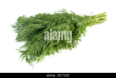 Frischer Dill isoliert auf weiß Stockfoto